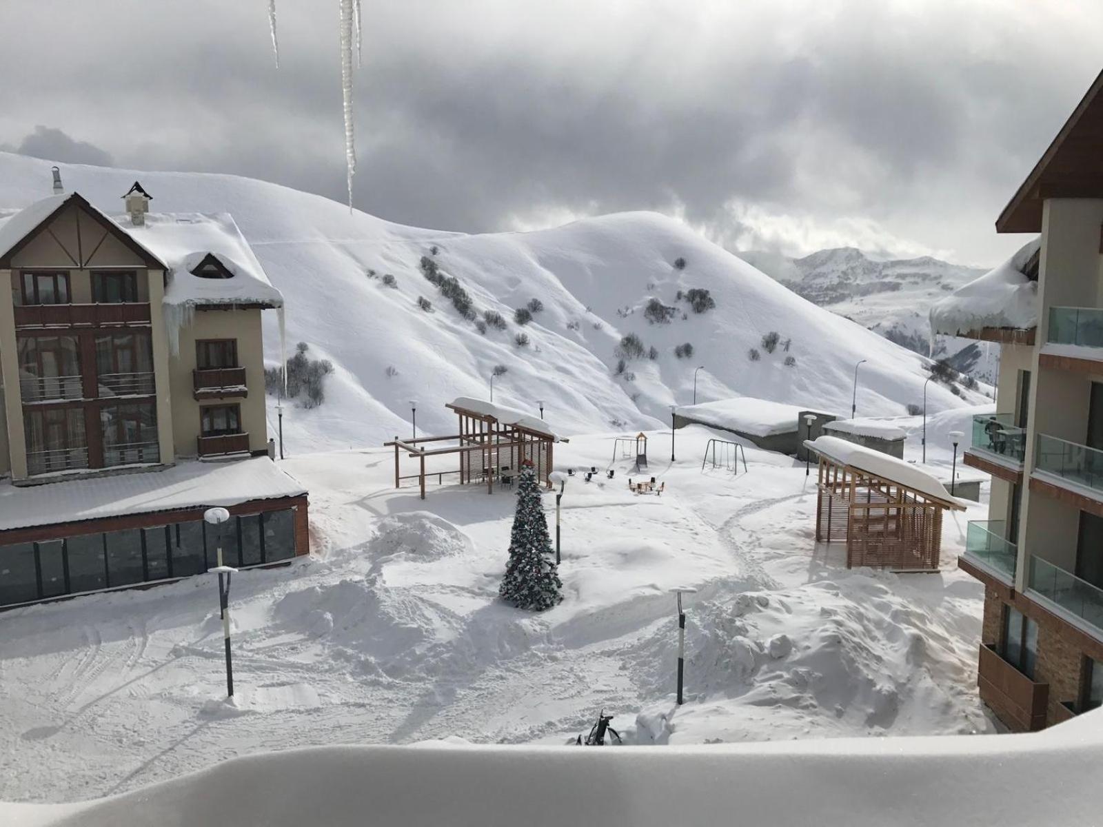 Апартаменты New Gudauri Ski Resort RED-CO Номер фото